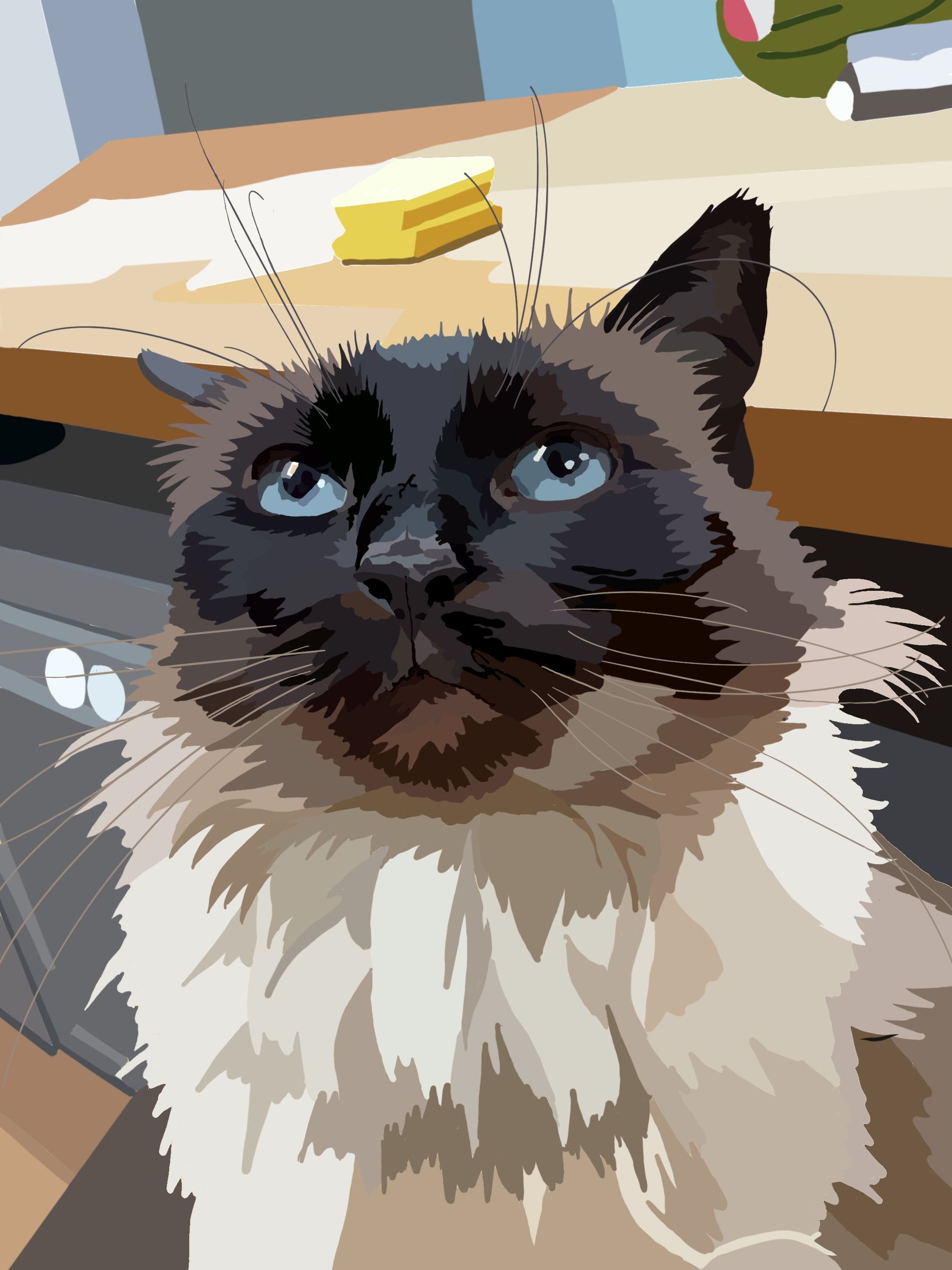 Digital illustration, pet portrait